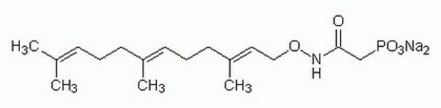 FPT Inhibitor II The FPT Inhibitor II controls the biological activity of FPT. This small molecule/inhibitor is primarily used for Cancer applications.