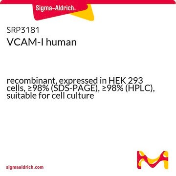 VCAM-I human recombinant, expressed in HEK 293 cells, &#8805;98% (SDS-PAGE), &#8805;98% (HPLC), suitable for cell culture