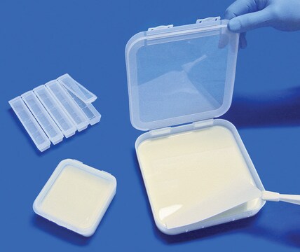 Scienceware&#174; gel incubating tray W × L 16.5&#160;cm (6.5&#160;in.) × 16.5&#160;cm (6.5&#160;in.)