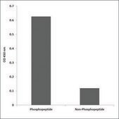 Anti-phospho-LCK (pSer59) antibody produced in rabbit affinity isolated antibody