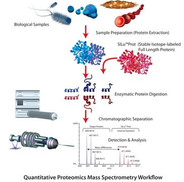 SILu&#8482;Prot CLU Clusterin human recombinant, expressed in HEK 293 cells, SIL MS Protein Standard, 13C and 15N-labeled