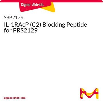 IL-1RAcP (C2) Blocking Peptide for PRS2129