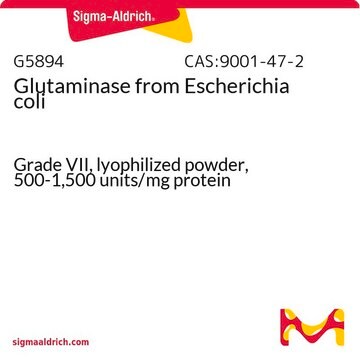 Glutaminase from Escherichia coli Grade VII, lyophilized powder, 500-1,500&#160;units/mg protein