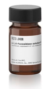 &#945;-1,6-Fucosidase solution from Elizabethkingia miricola recombinant, expressed in E. coli, buffered aqueous solution