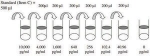Rat IL-6 ELISA Kit for serum, plasma and cell culture supernatants