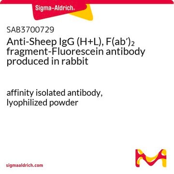 Anti-Sheep IgG (H+L), F(ab&#8242;)2 fragment-Fluorescein antibody produced in rabbit affinity isolated antibody, lyophilized powder