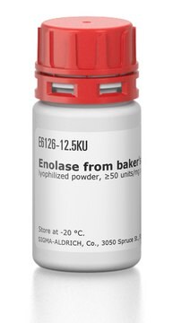 Enolase from baker’s yeast (S.&#160;cerevisiae) lyophilized powder, &#8805;50&#160;units/mg protein