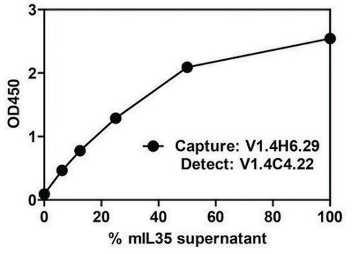 Monoclonal Anti-EBI-3-Biotin antibody produced in mouse clone V1.4C4.22, purified immunoglobulin