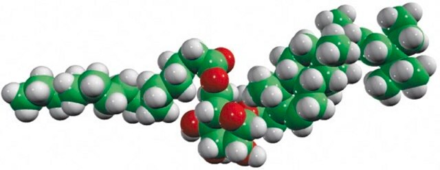 16:0 stigmasteryl glucose 6-O-palmitoyl-stigmasteryl-&#946;-D-glucose, powder