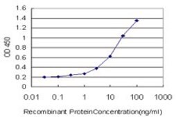 Monoclonal Anti-SERPINA6 antibody produced in mouse clone 1D9, purified immunoglobulin, buffered aqueous solution