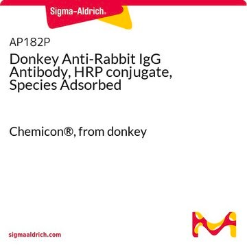 Donkey Anti-Rabbit IgG Antibody, HRP conjugate, Species Adsorbed Chemicon&#174;, from donkey