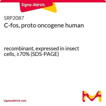 C-fos, proto oncogene human recombinant, expressed in insect cells, &#8805;70% (SDS-PAGE)