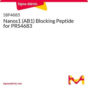 Nanos1 (AB1) Blocking Peptide for PRS4683