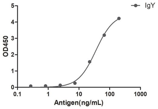 Alpaca Anti-Chicken IgY single domain Antibody recombinant Alpaca(VHH) Nano antibody