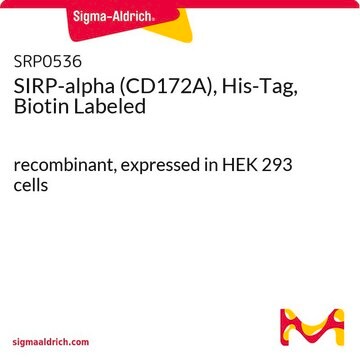 SIRP-alpha (CD172A), His-Tag, Biotin Labeled recombinant, expressed in HEK 293 cells