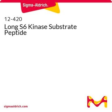 Long S6 Kinase Substrate Peptide