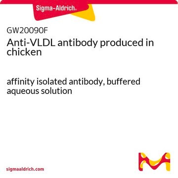 Anti-VLDL antibody produced in chicken affinity isolated antibody, buffered aqueous solution