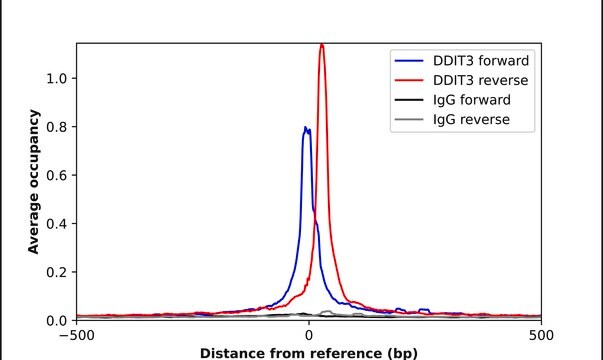 Anti-DDIT3 antibody produced in rabbit Prestige Antibodies&#174; Powered by Atlas Antibodies, affinity isolated antibody, buffered aqueous glycerol solution