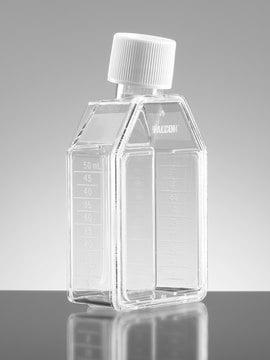 Corning&#174; Falcon&#174; Cell Culture Flask capacity 50&#160;mL, canted neck, graduated, 2 &#8209; 25&#160;mL, cap, white plug seal