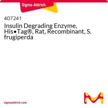 Insulin Degrading Enzyme, His&#8226;Tag&#174;, Rat, Recombinant, S. frugiperda