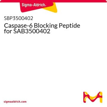 Caspase-6 Blocking Peptide for SAB3500402