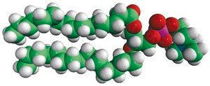 16:0 PC (DPPC) Avanti Research&#8482; - A Croda Brand