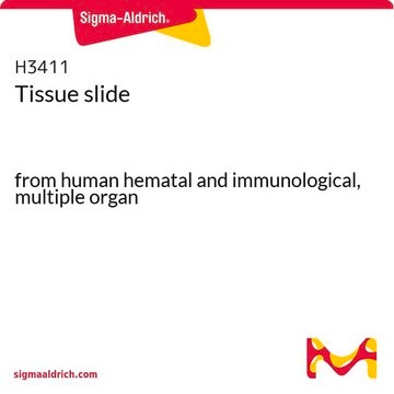 Tissue slide from human hematal and immunological, multiple organ