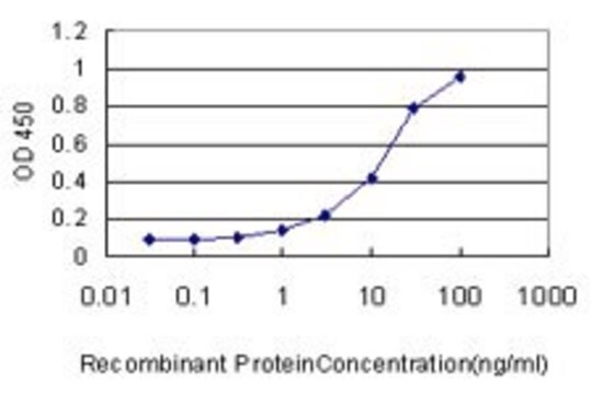 Monoclonal Anti-RAP1GA1 antibody produced in mouse clone 3G11, purified immunoglobulin, buffered aqueous solution