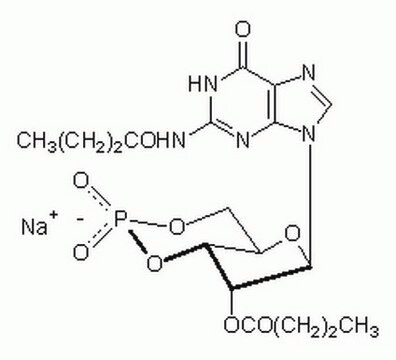 Guanosine 3&#8242;,5&#8242;-cyclic Monophosphate, N&#178;,2&#8242;-O-Dibutyryl-, Sodium Salt Cell-permeable cGMP analog that preferentially activates protein kinase G.