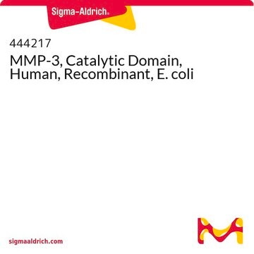 MMP-3, Catalytic Domain, Human, Recombinant, E. coli