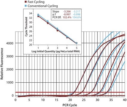 KiCqStart&#174; SYBR&#174; Green qPCR ReadyMix&#8482; iQ&#8482;, with fluorescein for Bio-Rad systems