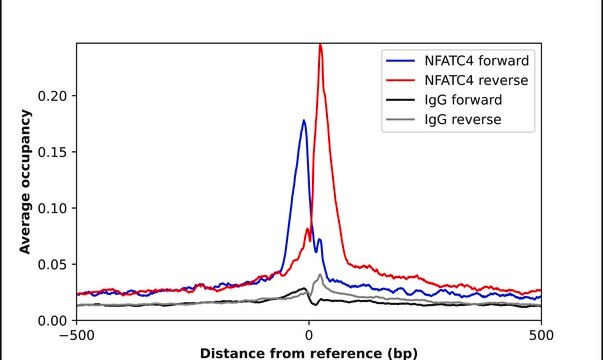 Anti-NFATC4 antibody produced in rabbit Prestige Antibodies&#174; Powered by Atlas Antibodies, affinity isolated antibody