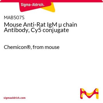 Mouse Anti-Rat IgM &#181; chain Antibody, Cy5 conjugate Chemicon&#174;, from mouse