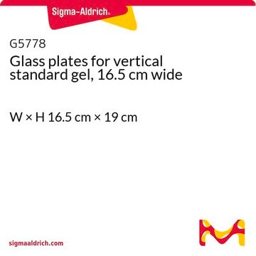 Glass plates for vertical standard gel, 16.5 cm wide W × H 16.5&#160;cm × 19&#160;cm