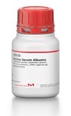 Bovine Serum Albumin lyophilized powder, essentially globulin free, low endotoxin, &#8805;98% (agarose gel electrophoresis)