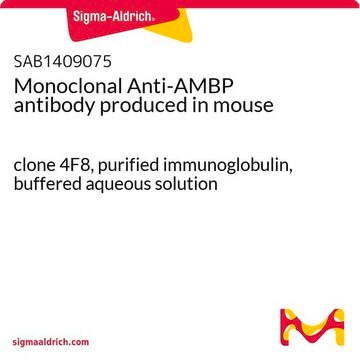 Monoclonal Anti-AMBP antibody produced in mouse clone 4F8, purified immunoglobulin, buffered aqueous solution