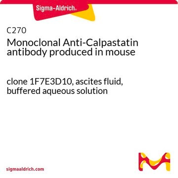 Monoclonal Anti-Calpastatin antibody produced in mouse clone 1F7E3D10, ascites fluid, buffered aqueous solution