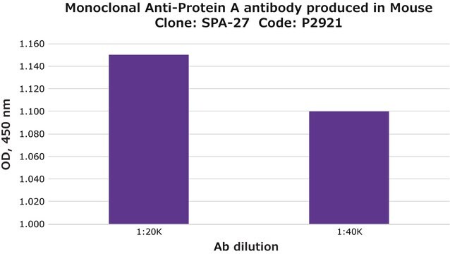 Monoclonal Anti-Protein&#160;A antibody produced in mouse clone SPA-27, ascites fluid