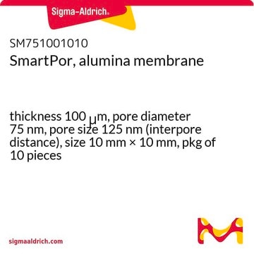 SmartPor, alumina membrane thickness 100&#160;&#956;m, pore diameter 75&#160;nm, pore size 125&#160;nm (interpore distance), size 10&#160;mm × 10&#160;mm, pkg of 10&#160;pieces