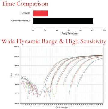 LuminoCt&#174; SYBR&#174; Green qPCR ReadyMix&#8482; For fast SYBR Green quantitative PCR