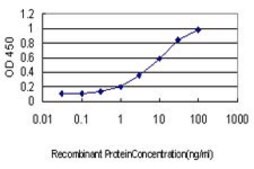 Monoclonal Anti-PRKCI, (N-terminal) antibody produced in mouse clone 3A7, purified immunoglobulin, buffered aqueous solution
