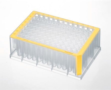 Eppendorf&#174; Deepwell plates, Protein LoBind, 96 wells yellow plate, conical bottom, colorless wells, capacity 500&#160;&#956;L, pkg of 20&#160;ea (5 bags × 4 plates)