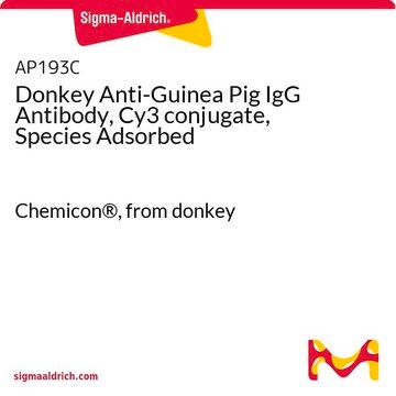 Donkey Anti-Guinea Pig IgG Antibody, Cy3 conjugate, Species Adsorbed Chemicon&#174;, from donkey