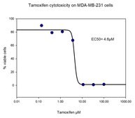Tamoxifen powder, Suitable for cell culture