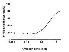 Anti-IL-5 Reference Antibody