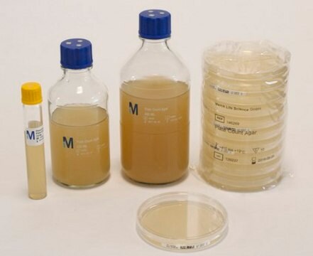 Plate Count Agar Determination of the total viable count of aerobic bacteria from milk, dairy products, water, and other sample materials.