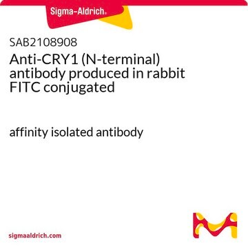 Anti-CRY1 (N-terminal) antibody produced in rabbit FITC conjugated affinity isolated antibody