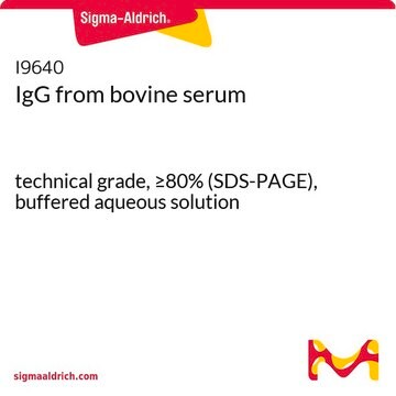 IgG from bovine serum technical grade, &#8805;80% (SDS-PAGE), buffered aqueous solution