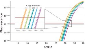 KAPA PROBE FAST suitable for qPCR, 2&#160;×, ABI Prism&#174;