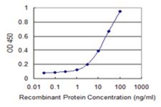 Monoclonal Anti-PANK4, (C-terminal) antibody produced in mouse clone 2A11, purified immunoglobulin, buffered aqueous solution